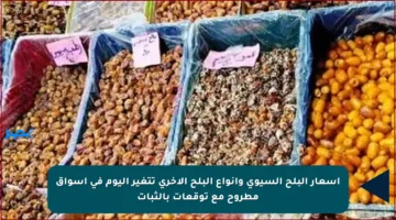 أسعار البلح السيوي وأنواع البلح الأخرى تتغير اليوم في أسواق مطروح مع توقعات بالثبات